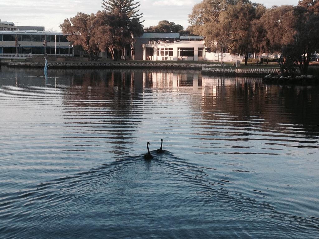 Mandurah Ocean Marina Chalets Eksteriør billede